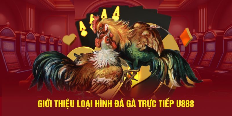 Các hình thức cá cược hấp dẫn tại đá gà U888