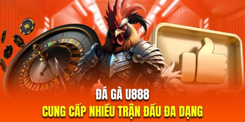 Những nét làm nên thương hiệu đá gà U888